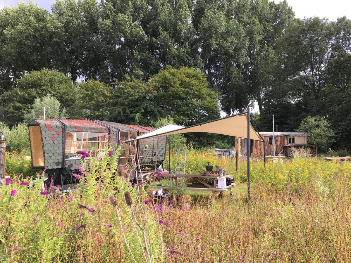 Amsterdam Farm Lodge Exteriér fotografie